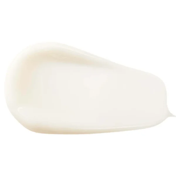 The Saem Snail Essential EX Wrinkle Solution Emulsion 2